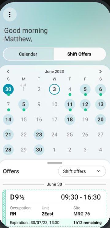 screenshot of LGI Workforce Pro